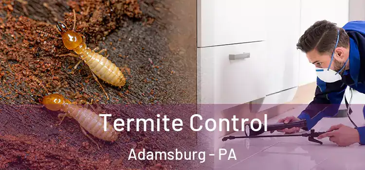  Termite Control Adamsburg - PA