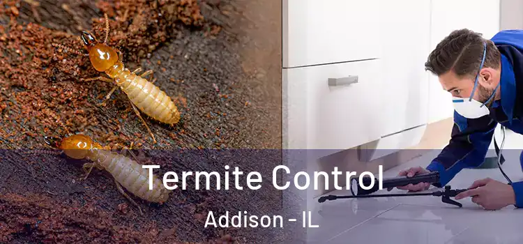 Termite Control Addison - IL