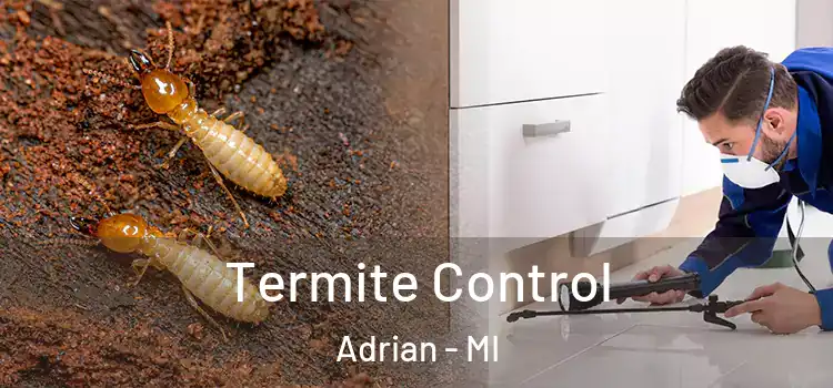 Termite Control Adrian - MI