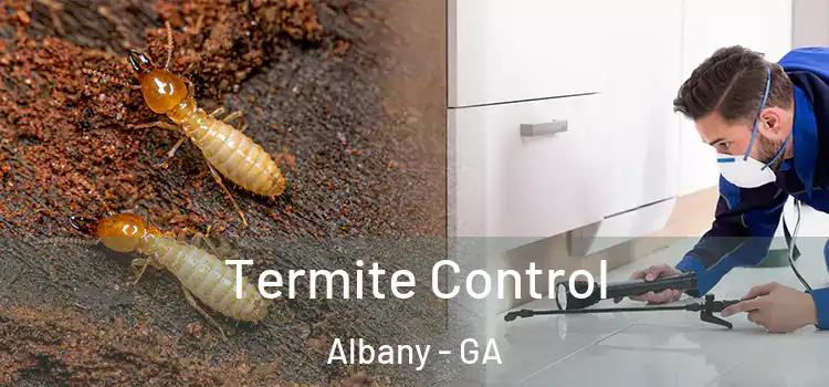  Termite Control Albany - GA