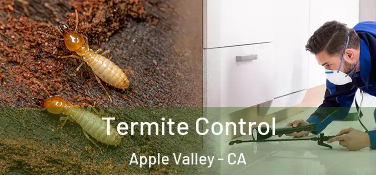  Termite Control Apple Valley - CA