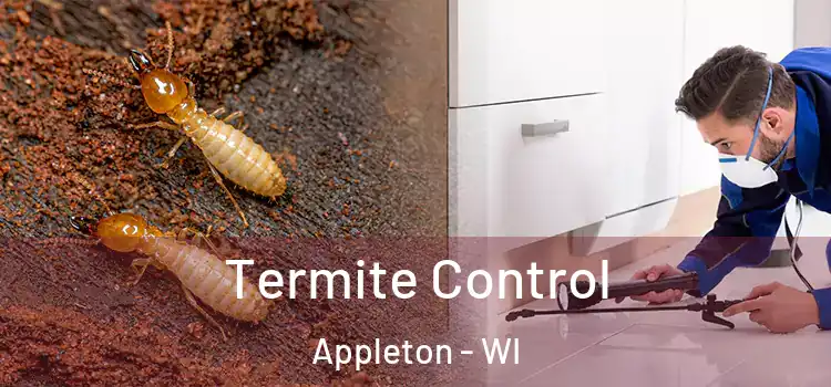  Termite Control Appleton - WI