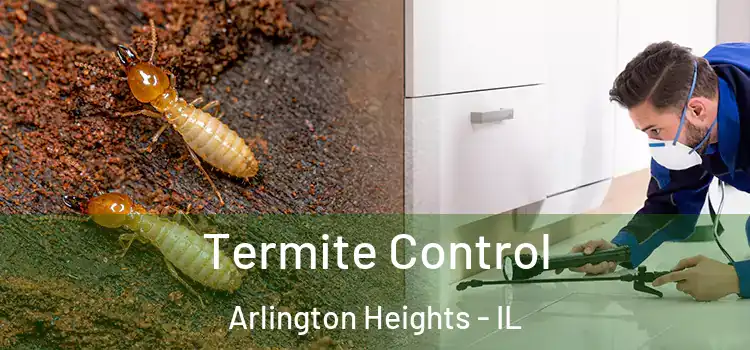 Termite Control Arlington Heights - IL