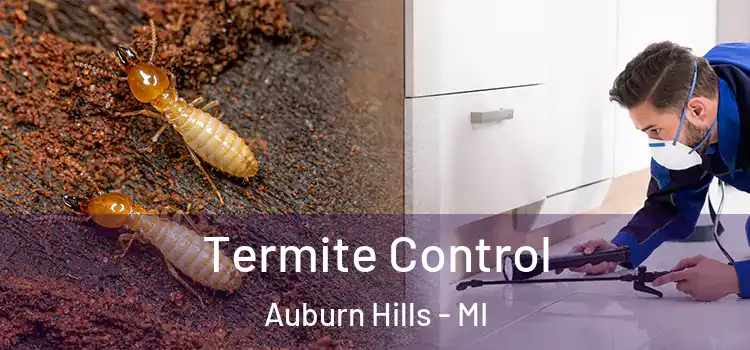  Termite Control Auburn Hills - MI