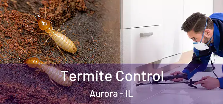 Termite Control Aurora - IL
