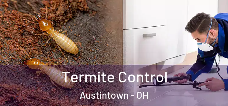  Termite Control Austintown - OH
