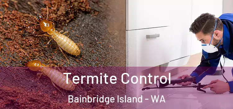  Termite Control Bainbridge Island - WA