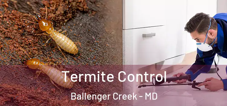  Termite Control Ballenger Creek - MD