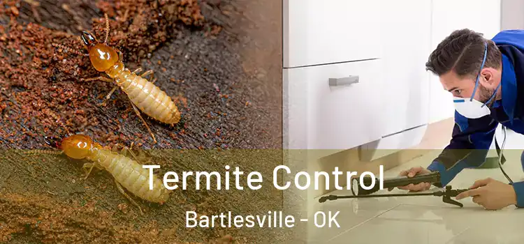  Termite Control Bartlesville - OK