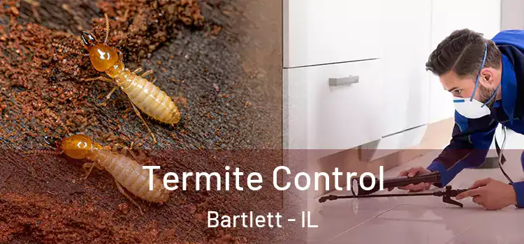 Termite Control Bartlett - IL