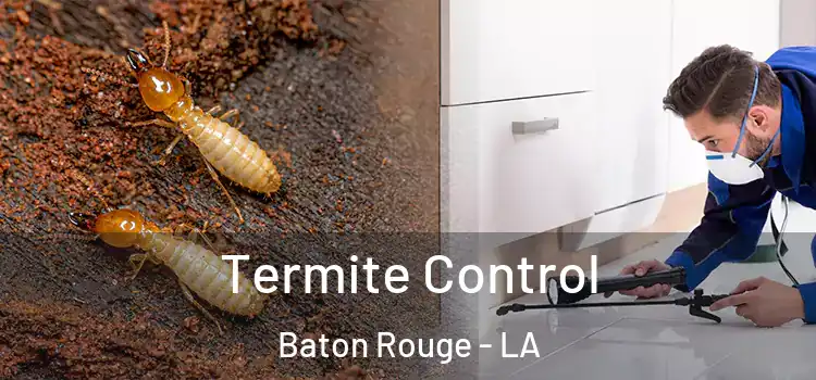  Termite Control Baton Rouge - LA