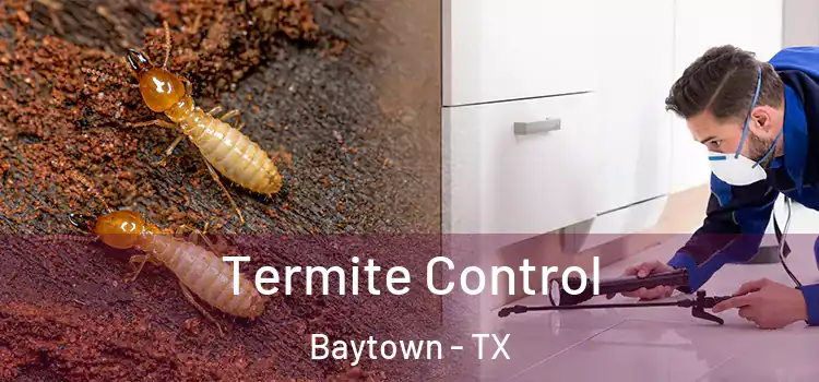  Termite Control Baytown - TX
