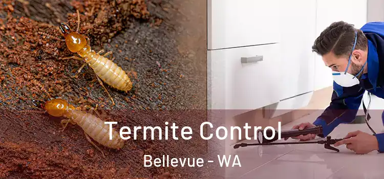  Termite Control Bellevue - WA