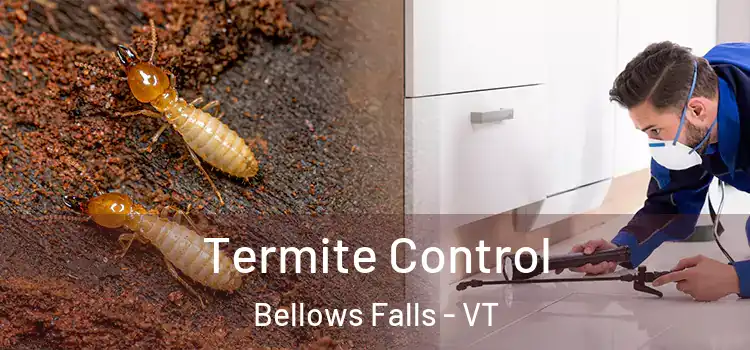 Termite Control Bellows Falls - VT