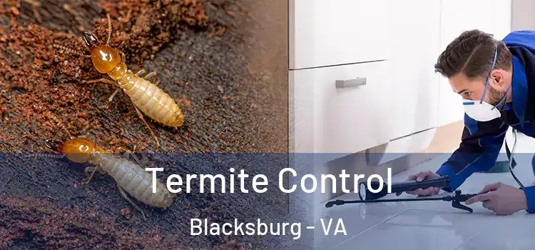 Termite Control Blacksburg - VA