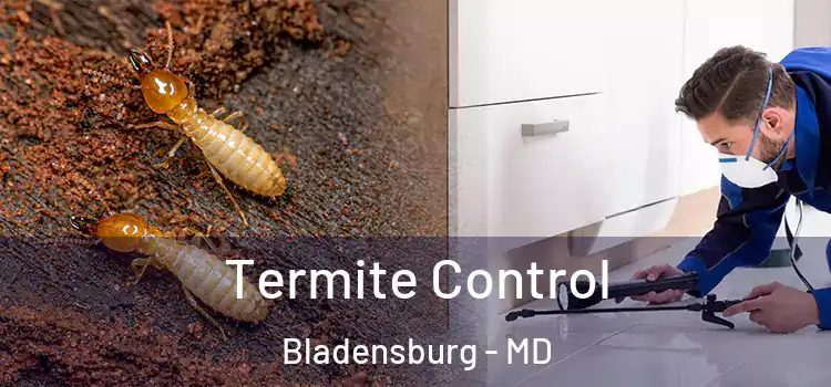  Termite Control Bladensburg - MD