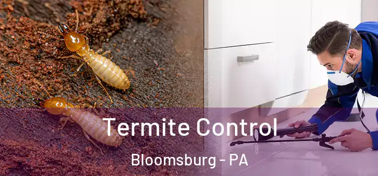  Termite Control Bloomsburg - PA