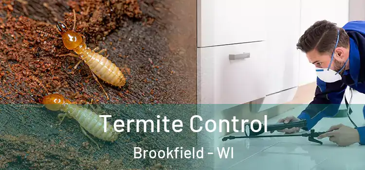  Termite Control Brookfield - WI