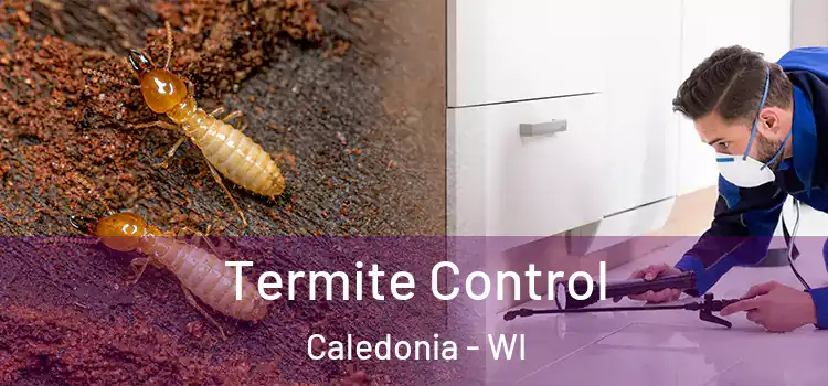  Termite Control Caledonia - WI