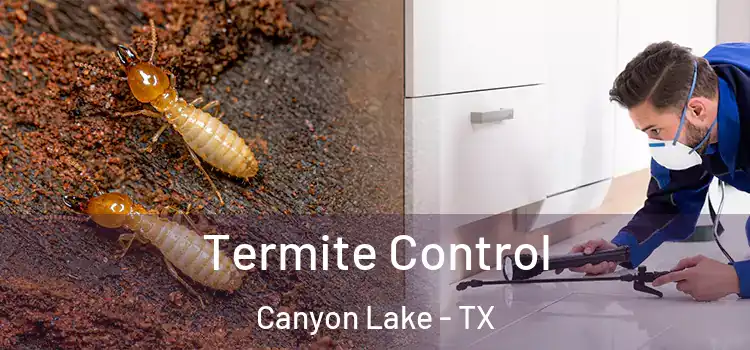  Termite Control Canyon Lake - TX