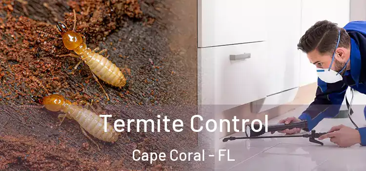 Termite Control Cape Coral - FL