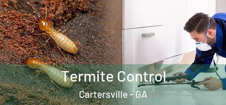 Termite Control Cartersville - GA