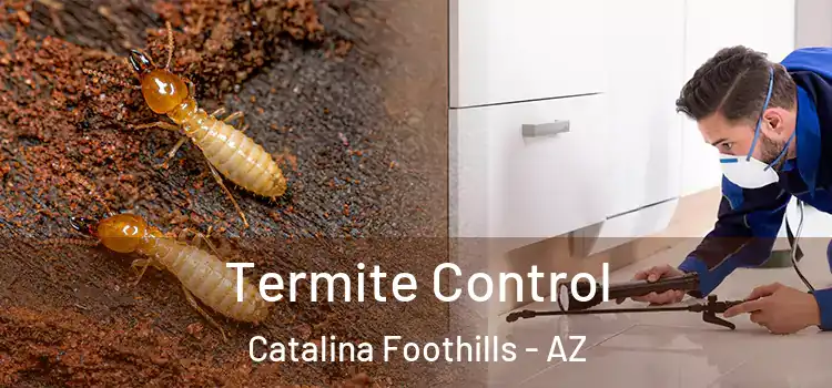  Termite Control Catalina Foothills - AZ