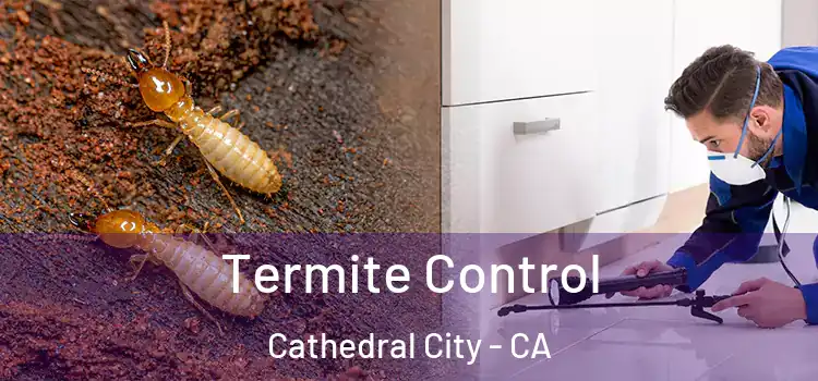  Termite Control Cathedral City - CA