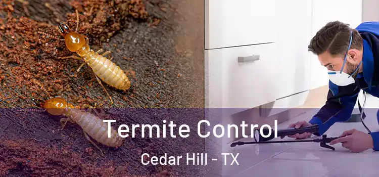 Termite Control Cedar Hill - TX