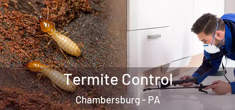  Termite Control Chambersburg - PA