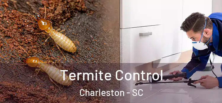  Termite Control Charleston - SC
