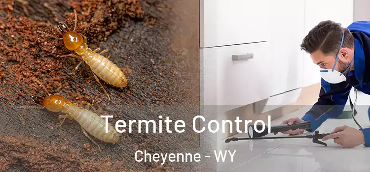 Termite Control Cheyenne - WY
