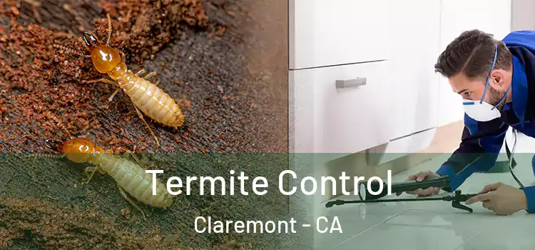 Termite Control Claremont - CA