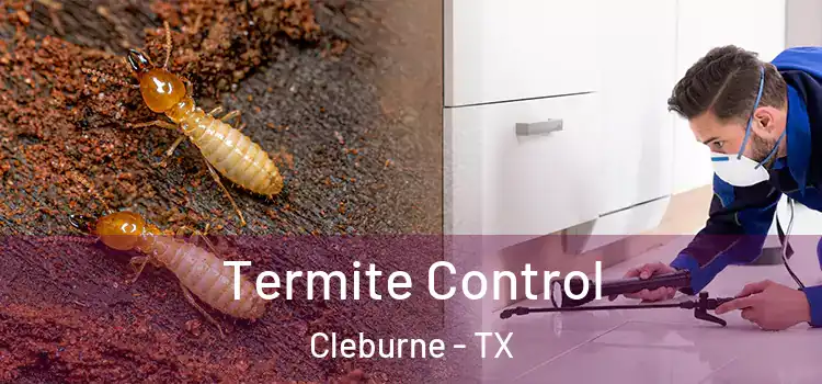  Termite Control Cleburne - TX