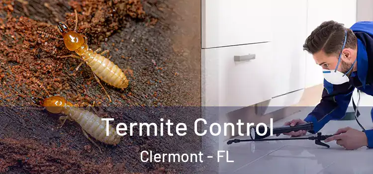 Termite Control Clermont - FL