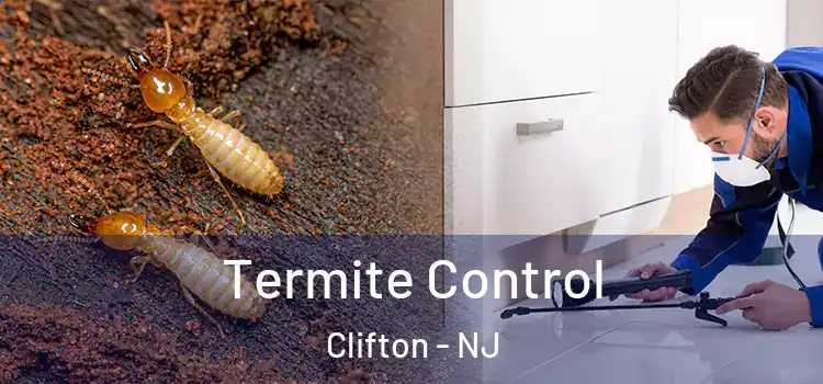 Termite Control Clifton - NJ