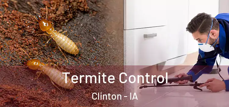  Termite Control Clinton - IA