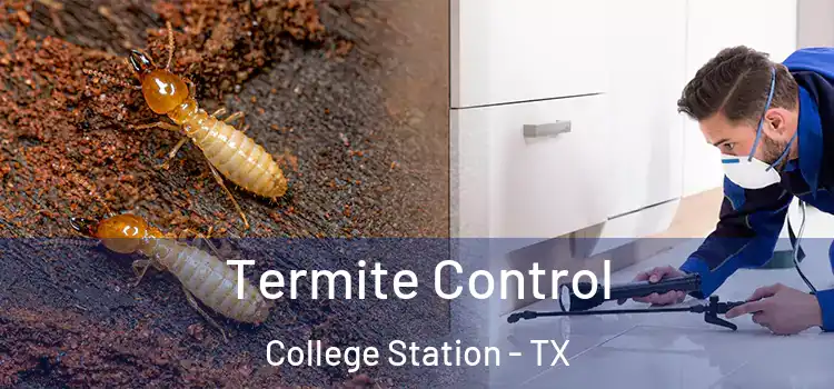  Termite Control College Station - TX