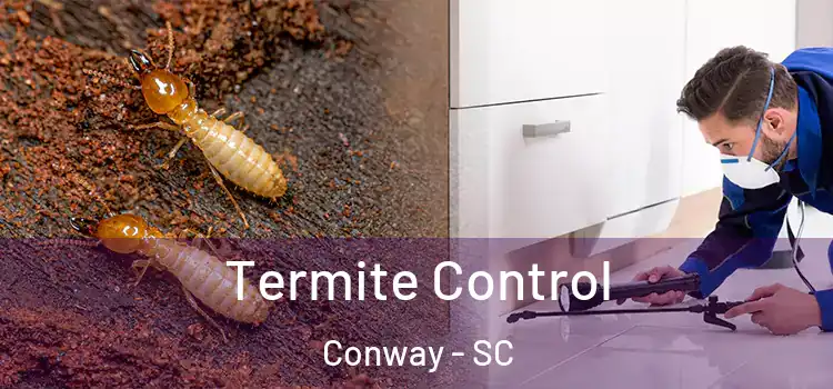 Termite Control Conway - SC