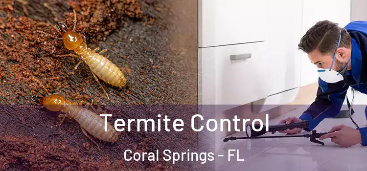 Termite Control Coral Springs - FL