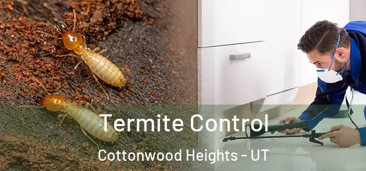  Termite Control Cottonwood Heights - UT