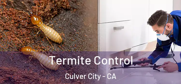 Termite Control Culver City - CA