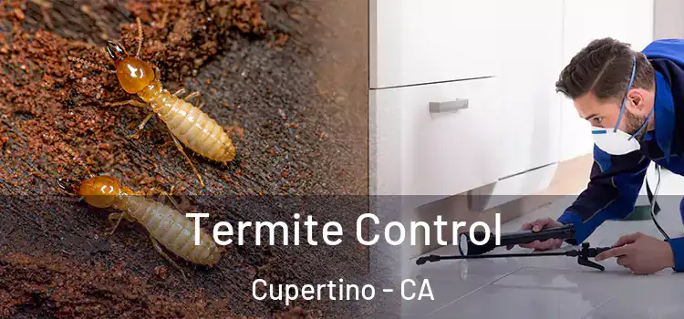  Termite Control Cupertino - CA