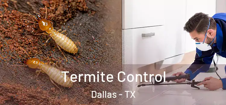  Termite Control Dallas - TX