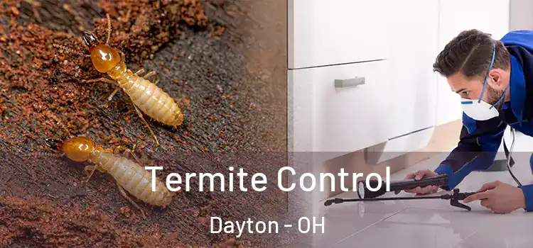  Termite Control Dayton - OH