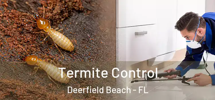 Termite Control Deerfield Beach - FL