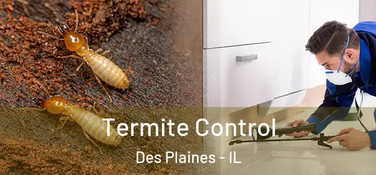 Termite Control Des Plaines - IL