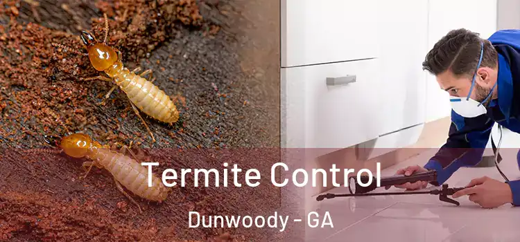Termite Control Dunwoody - GA