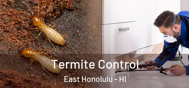 Termite Control East Honolulu - HI