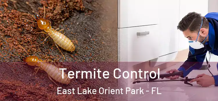  Termite Control East Lake Orient Park - FL